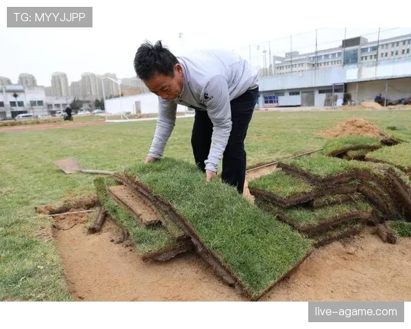 草坪场地规则拆解：职业比赛必须满足哪些标准？
