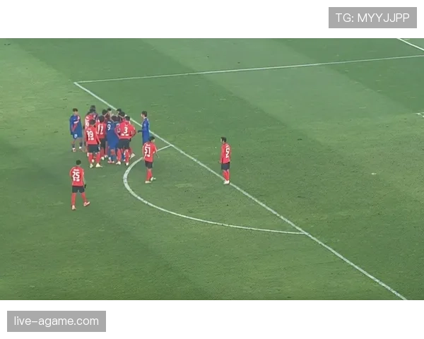 直接红牌判罚规则详解及适用场景分析