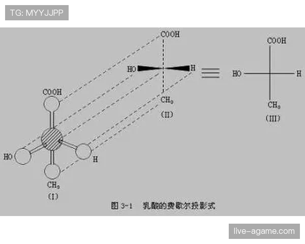 规则解析:篮球比赛中延误比赛违例的定义与具体判罚